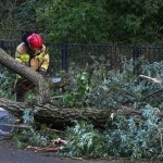 Nawałnice szalały nad Polską. Tylu interwencji nie było od dawna