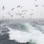Nawet 10 w skali Beauforta. IMGW ostrzega przed sztormem na Bałtyku
