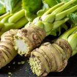 wasabi Nawet 1500 zł za kilogram. Bajecznie drogie warzywo z Azji rośnie w Polsce