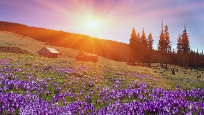 Nawet 21 stopni na termometrach. Powiew lata w zimie