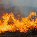 Nawet 30 tys. zł grzywny. Przepisy zostały zaostrzone