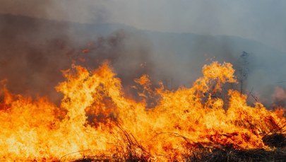 Nawet 30 tys. zł grzywny. Przepisy zostały zaostrzone