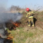 Nawet 30 tys. zł kary za pożar w lesie. Prezydent podpisał ustawę