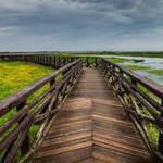 Nawet 400 zł na wakacje, wystarczy się zgłosić. Podlasie da więcej na bony