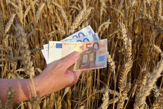 Nawet 500 euro dopłat bezpośrednich na hektar może dostać aktywny rolnik /&copy;123RF/PICSEL