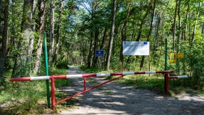 Nawet 500 zł mandatu. Straż graniczna apeluje do turystów