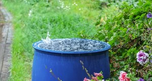 Nawet 8 tys. zł dopłaty. Rusza nowy program wsparcia dla właścicieli domów