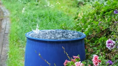 Nawet 8 tys. zł dopłaty. Rusza nowy program wsparcia dla właścicieli domów