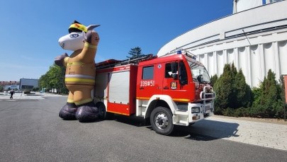 Nawet 90 wozów strażackich zawita na MTP. Przed nami Zlot Czerwonych Samochodów