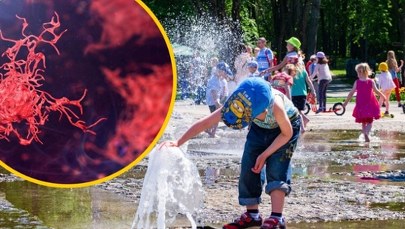 Nawet chlor nie daje im rady. Niewidzialni zabójcy czyhają w wodzie