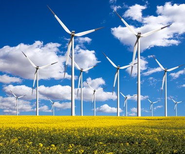 Nawet kryzys energetyczny nie uwolnił inwestycji wiatrowych na lądzie. Na co czekamy?