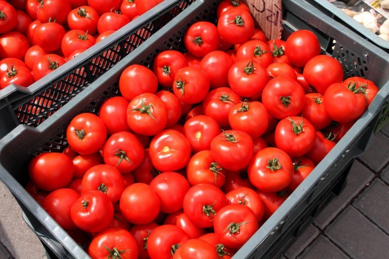 Nawet nie wiesz, do czego można użyć pomidorów... /Tomasz RYTYCH /Reporter
