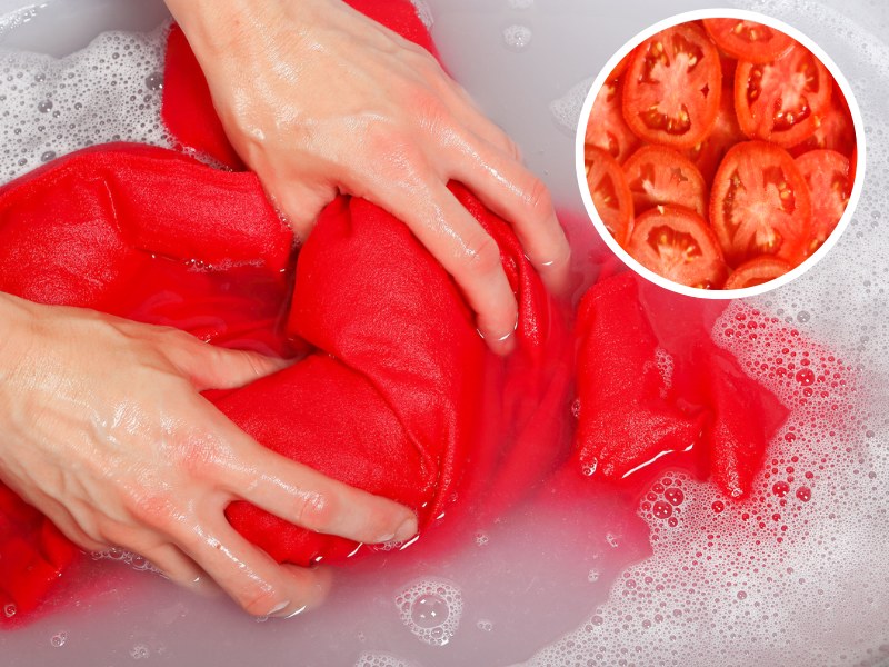 Nawet pozornie "niezmywalne plamy" z pomidora są do usunięcia. Zastosuj to, a szybko zapomnisz o problemie /Pixel