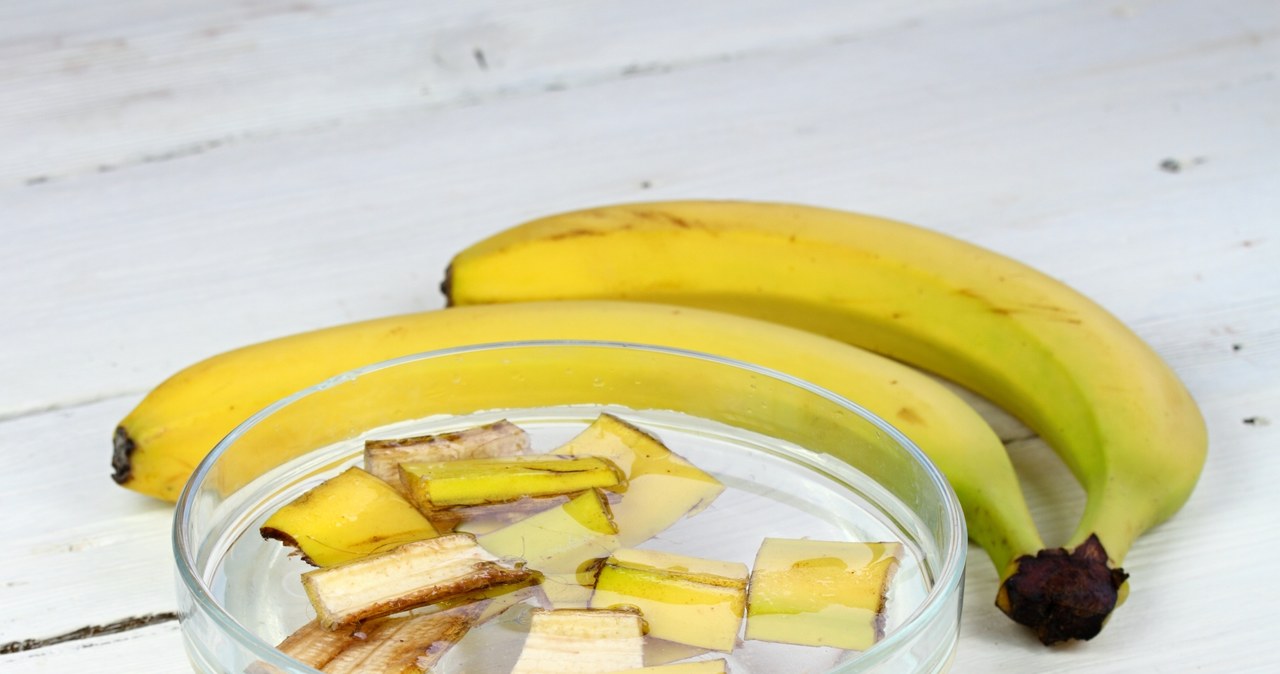Nawóz ze skórki od banana świetnie się sprawdzi w przypadku róż /123rf.com /123RF/PICSEL