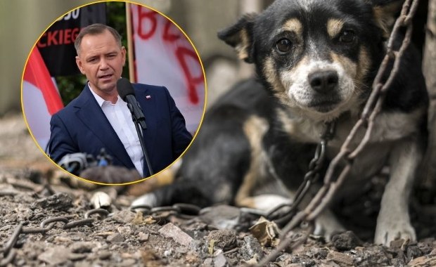 ​Nawrocki znowu wetuje. Tym razem chodzi o psy na łańcuchach