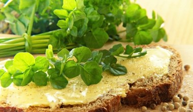 Найкорисніший овоч у світі коштує 2,50 злотих. Ідеально для людей похилого віку