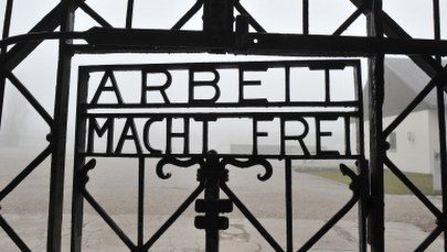 Naziści chcieli używać komarów jako broni