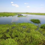Nazywają go polską Amazonią. Natura, pływające kładki, szlaki rowerowe i wodniczki