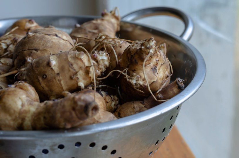 Nazywają go "zdrowszym ziemniakiem". Pomaga schudnąć, obniża cholesterol, reguluje ciśnienie