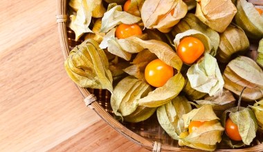 ​Nazywają ją złotem Inków. Ma mnóstwo witaminy C, wspomaga trawienie i odporność