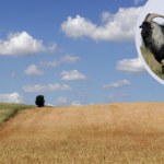 Nazywają je "mazurskimi Bieszczadami". Odwiedź w maju, by odetchnąć od tłumów i spotkać muflony