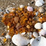 bursztyn Nazywają je złotymi plażami. To tu znajdziesz najwięcej bursztynów