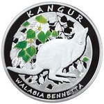 NBP: Nowa moneta kolekcjonerska z wizerunkiem kangura Walabia Bennetta