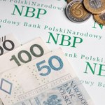 NBP ujawnia, ile wynosi zadłużenie zagraniczne Polski