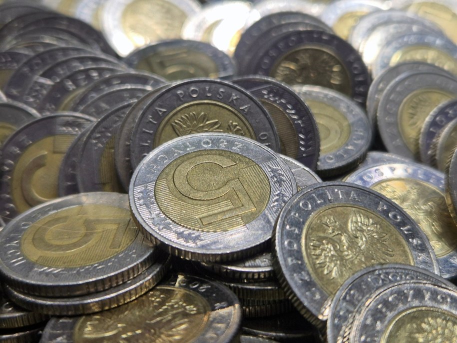 NBP wypuszcza wyjątkową „piątkę”. Tylko nieliczni będą mieli ją w portfelu /FotoDax /Shutterstock
