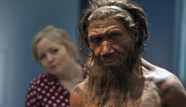Neandertalczycy wymarli, bo przegrali rywalizację z Homo sapiens?