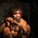 Neandertalczycy wytwarzali klej już 60 tys. lat temu