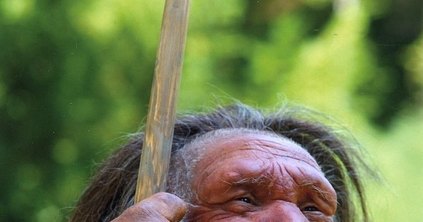 Neandertalczyk i jego wydatne nos i łuki brwiowe /Neanderthal-Museum, Mettmann /Wikimedia