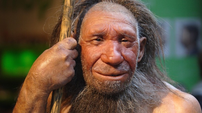 Neandertalczyk wcale nie był taki bystry, jak dotychczas wszyscy sądziliśmy /Geekweek