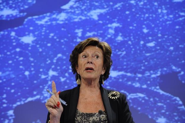 Neelie Kroes, komisarz ds. agendy cyfrowej /AFP