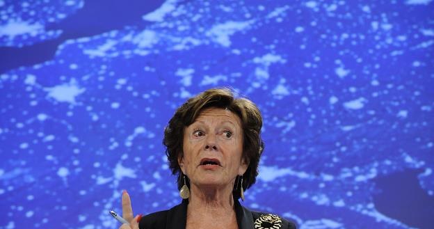 Neelie Kroes, komisarz ds. agendy cyfrowej /AFP