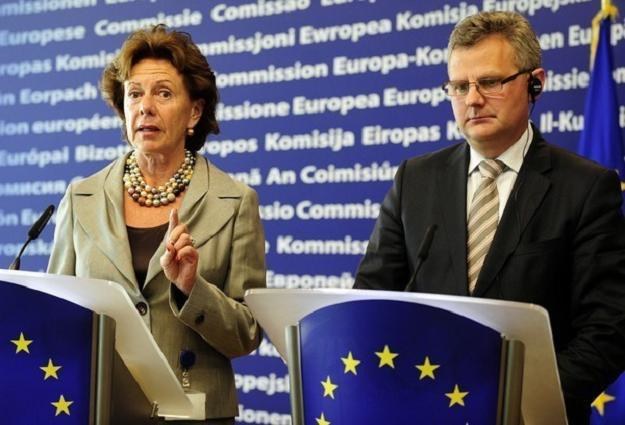 Neelie Kroes, wiceprzewodnicząca Komisji Europejskiej i minister skarbu RP Aleksander Grad /AFP