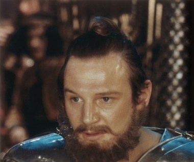 Neesona bardziej ciągnęło na scenę teatralną. W swoim pierwszym szkolnym przedstawieniu wystąpił, by przypodobać się jednej z koleżanek. Szlify aktorskie zdobywał później na deskach teatrów w Belfaście i Dublinie. 

W 1980 roku reżyser John Boorman wypatrzył go w roli Lenny'ego w scenicznej adaptacji "Myszy i ludzi" Johna Steinbecka i obsadził w filmie "Excalibur" o rycerzach Króla Artura.