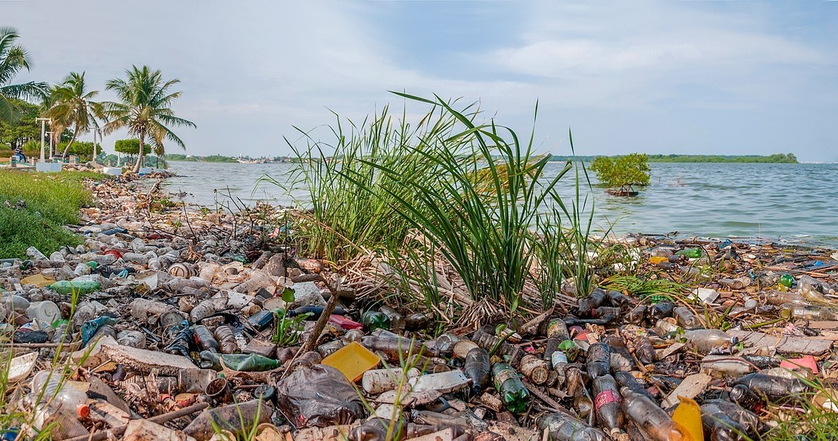 Negatywny wpływ człowieka na środowisko. Śmieci na brzegu Jeziora Maracaibo /Wilfredor/CC BY-SA 3.0 Deed (https://creativecommons.org/licenses/by-sa/3.0/deed.en) /Wikimedia