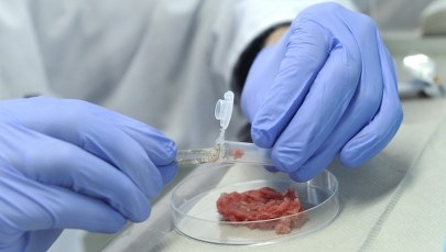 Nestle kolejną ofiarą skandalu z koniną