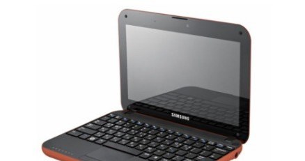 Netbook N310 /materiały prasowe