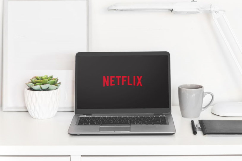 Netflix wprowadza nową zakładkę do serwisu /materiały prasowe