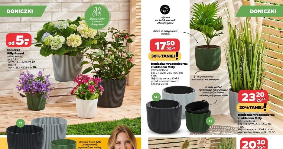 Netto oferuje promocje na doniczki! /Netto /INTERIA.PL