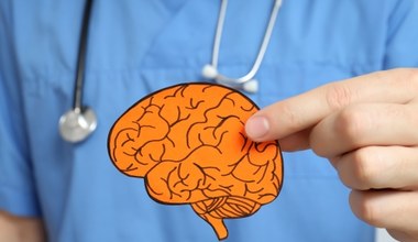 Neurolodzy jedzą to na śniadanie. Mózg będzie działał na wysokich obrotach