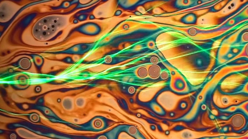 Neurony, lasery i fraktale, tak wygląda w ruchu mikro świat Nikona /Geekweek