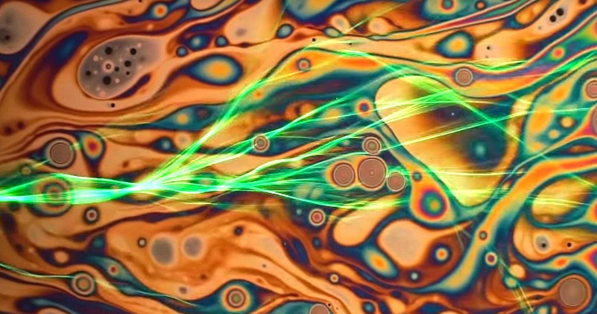 Neurony, lasery i fraktale, tak wygląda w ruchu mikro świat Nikona /Geekweek