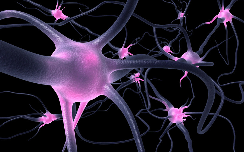 Neurony osób cierpiących na autyzm rosną szybciej /123RF/PICSEL