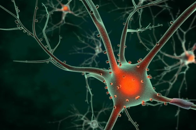 Neurony pod wpływem węgla-14 regenerują się szybciej /123RF/PICSEL