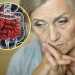 Neurotoksyna wędruje z jelit do mózgu. Tam wywołuje alzheimera
