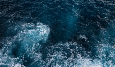 Neurotoksyny w oceanach. Naukowcy ostrzegają, że metylortęć może zatruwać też ludzi