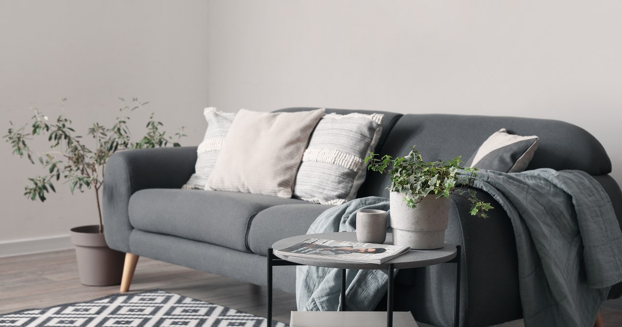 Neutralne sofy powoli odchodzą w zapomnienie /Leonid Iastremskyi /123RF/PICSEL